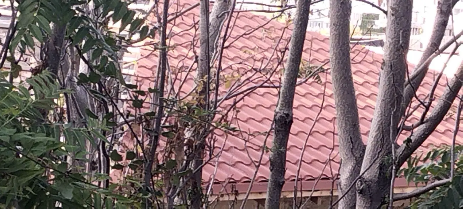 Спальня с панорамным окном